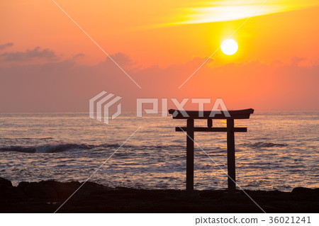 Torii of Kamiso of Oarai Iso Majin Shrine 36021241