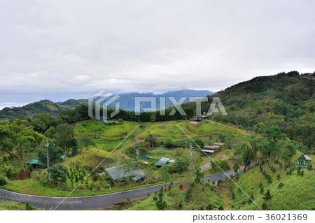 山上雲霧-新竹五峰天湖農場 Mountains and clouds in the Hsinchu 山上雲霧-新竹五峰天湖農場 Mountains and clouds in the Hsinchu 36021369