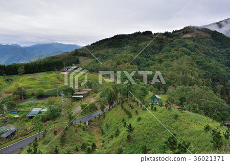 山上雲霧-新竹五峰天湖農場 Mountains and clouds in the Hsinchu 山上雲霧-新竹五峰天湖農場 Mountains and clouds in the Hsinchu 36021371