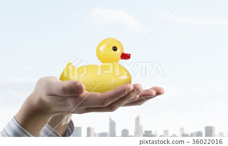 Duck in hand Duck in hand 36022016