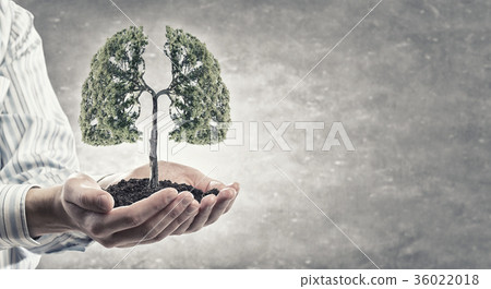 Green planet Green planet 36022018
