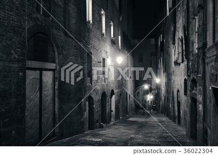 Siena street night view Siena street night view 36022304