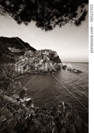 Manarola in Cinque Terre black and white Manarola in Cinque Terre black and white 36022503