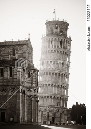Leaning tower in Pisa 36022505