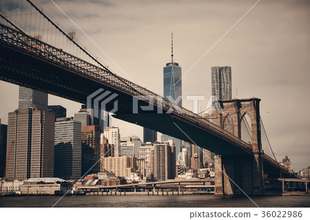 Brooklyn Bridge and downtown Manhattan 36022986