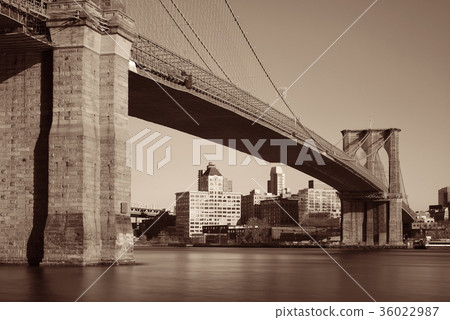 Brooklyn bridge at waterfront 36022987