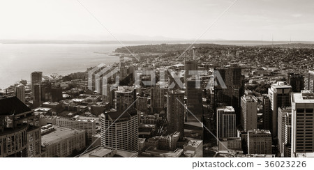 Seattle rooftop view Seattle rooftop view 36023226