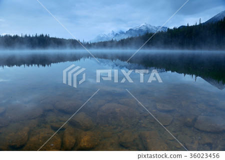 Lake Herbert 36023456