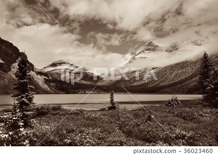 Bow Lake Bow Lake 36023460