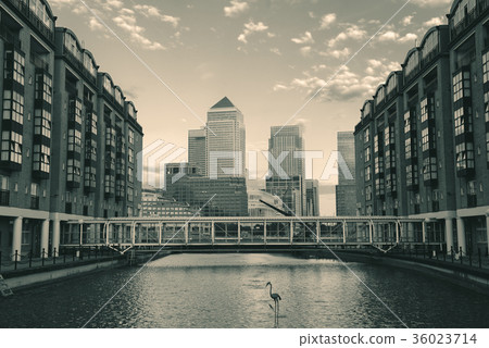 London Canary Wharf London Canary Wharf 36023714