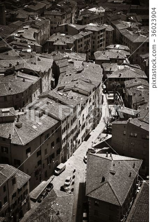Siena rooftop view Siena rooftop view 36023904