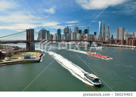 Brooklyn Bridge and downtown Manhattan 36024463