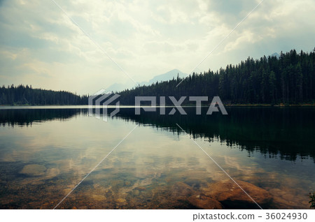 Lake Herbert Lake Herbert 36024930