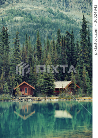 Yoho National Park Yoho National Park 36024942