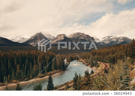 Morant Curve 36024943