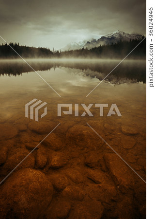 Lake Herbert 36024946
