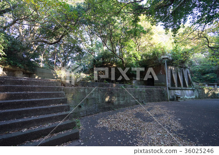 Scenery of Kannonzaki Battery Site 36025246