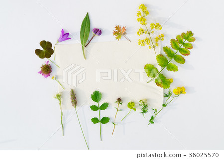 nature composition 36025570