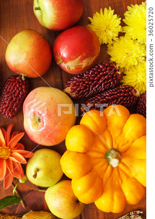 autumn concept 36025720