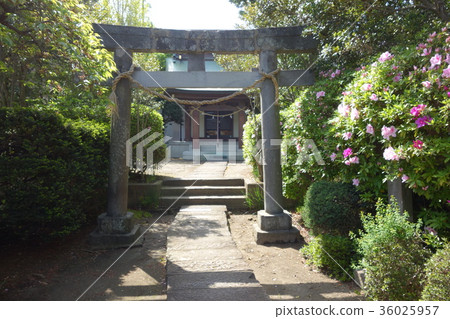 粗神社 粗神社 36025957
