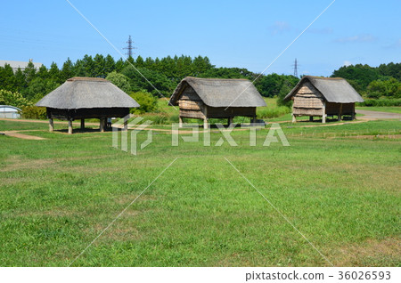 Pillar-built building (Sannai-Maruyama Site/Oaza Sannai-Maruyama, Aomori City, Aomori Prefecture) 36026593