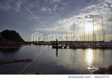 遊艇港口晚上視圖 36026775