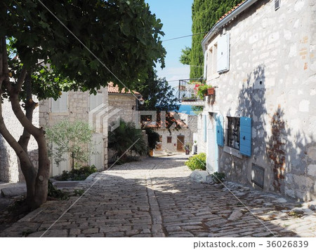 羅維尼老城區 36026839