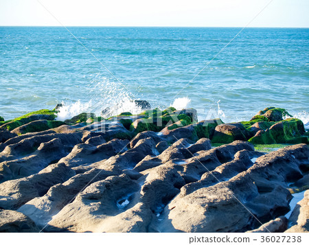 海邊礁岩 36027238