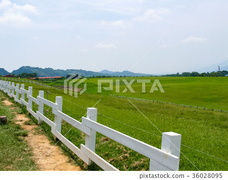 Ranch Ranch 36028095