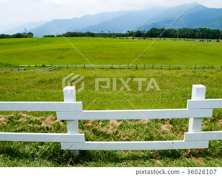 Ranch 36028107