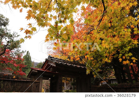 若狹寺的秋天風景 36028179