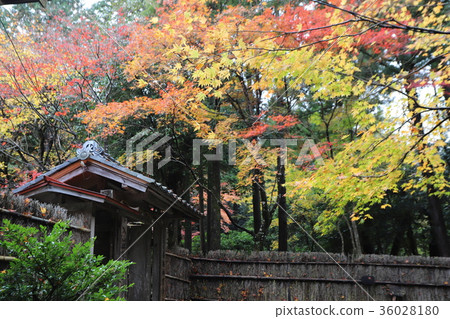 若狹寺的秋天風景 若狹寺的秋天風景 36028180