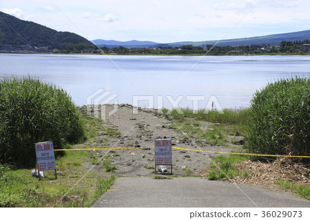 Wetland trouble caused by water shortage in Lake Kawaguchi 36029073