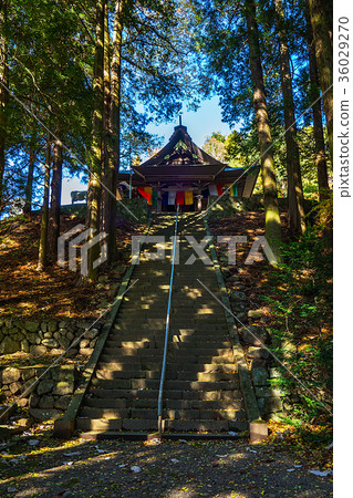 Oshiroda-cho jakuji 36029270