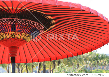 Red Umbrella 36029329