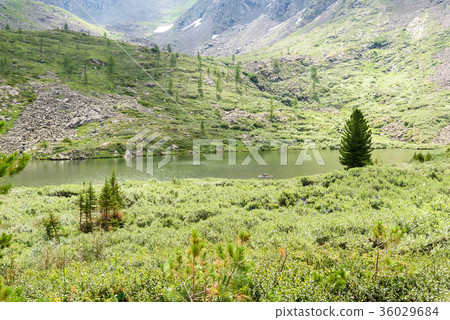 View on Third Lake of Karakol lakes in Altai View on Third Lake of Karakol lakes in Altai 36029684