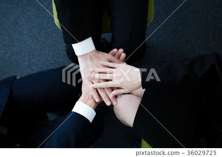 Business team Business team 36029725