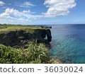 海岸 36030024