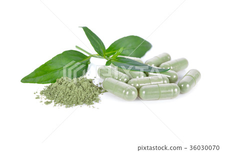 fresh kariyat leaves, ground and capsule herb 36030070