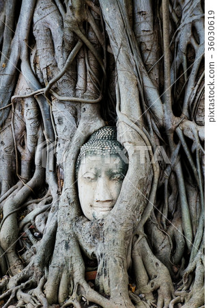 Wat Mahathat Wat Mahathat 36030619