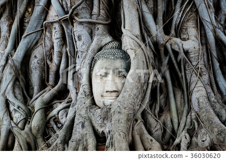 Wat Mahathat 36030620