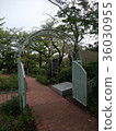 花園 36030955