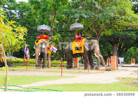 Wat Phra Sang Pet 36030999