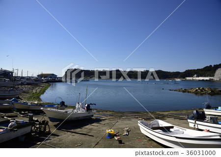 三浦半島松谷漁港 三浦半島松谷漁港 36031000