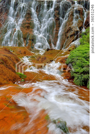 黃金瀑布,瀑布,溪流,水,金瓜石,九份,水金九,金水公路,新北市,瑞芳區,清涼,清新,新鮮,自然 36031246