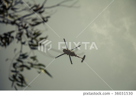 Israeli military UH-60 Blackhawk helicopter flying Israeli military UH-60 Blackhawk helicopter flying 36031530