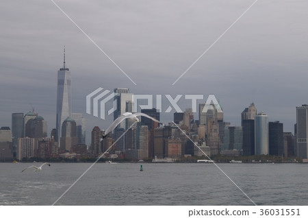紐約曼哈頓下城的建築物和海鷗 紐約曼哈頓下城的建築物和海鷗 36031551