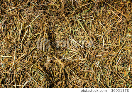Brown hay. Brown hay. 36031578