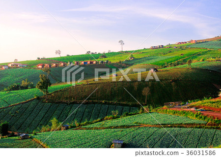 High mountain scenery. High mountain scenery. 36031586