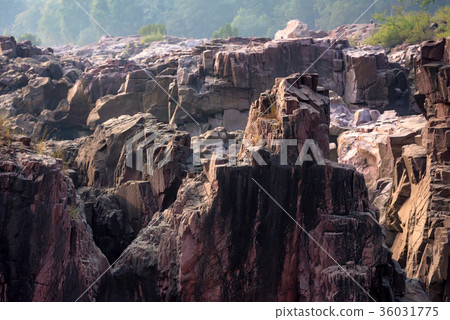Beautiful Indian landscape in Gharial Sanctuary Beautiful Indian landscape in Gharial Sanctuary 36031775